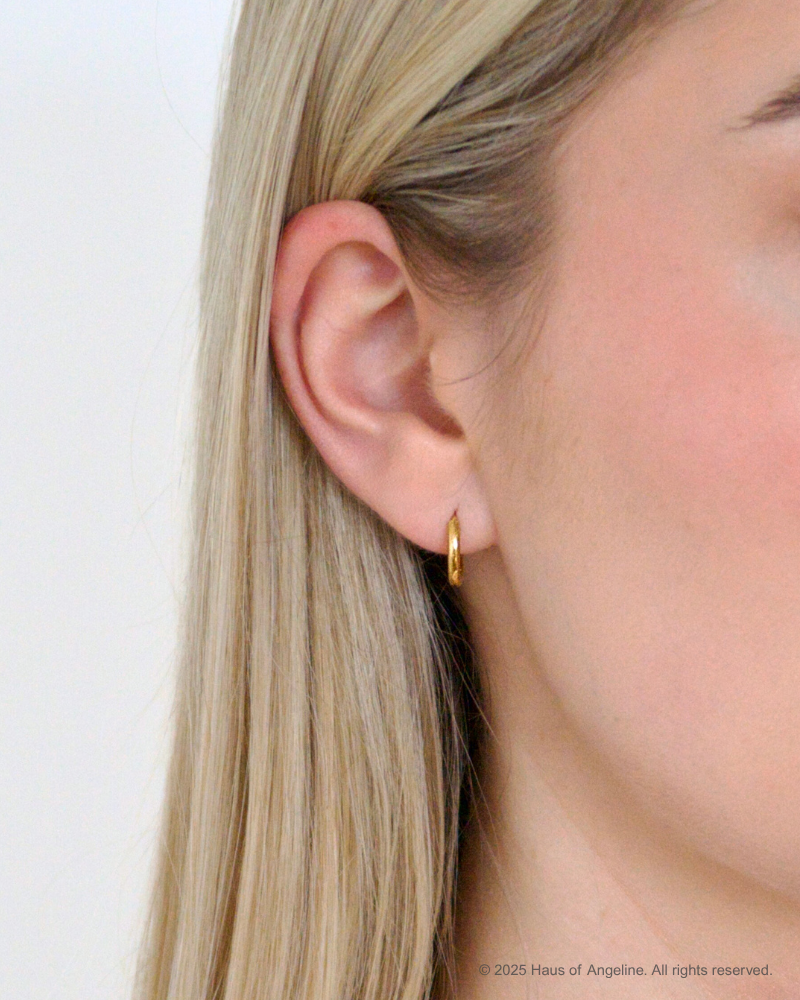 Small Gold Hoops