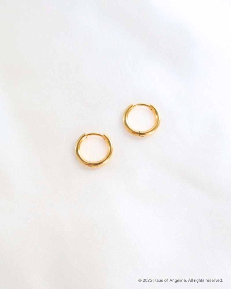 Small Gold Hoops